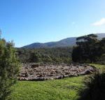 Hawksview at Mafeking - Accommodation Sunshine Coast