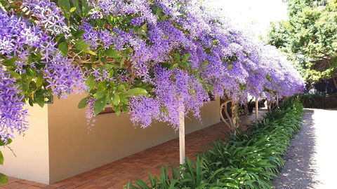 Bendles Cottages And Country Villas - Accommodation Sunshine Coast 4