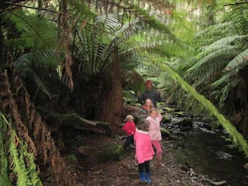 12 Apostles Cottages - Accommodation Sunshine Coast 0