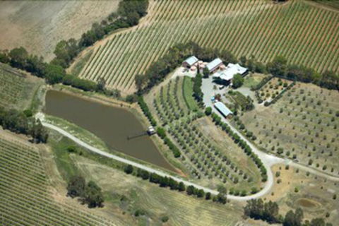 Patly Hill Farm - Accommodation Sunshine Coast 1