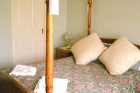Best Choice B & B & Accommodation Mansfield - Accommodation Sunshine Coast 7