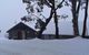 Cooroona Alpine Lodge - thumb 5