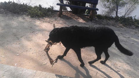 Captains Cottage Bed & Breakfast - Accommodation Sunshine Coast 6