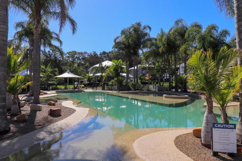 Dollarbird Treetops Townhouse - Accommodation Sunshine Coast 1