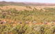 Ikara Safari Camp - thumb 0