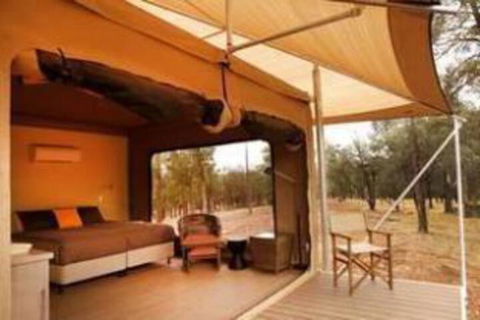 Ikara Safari Camp - Accommodation Sunshine Coast 4