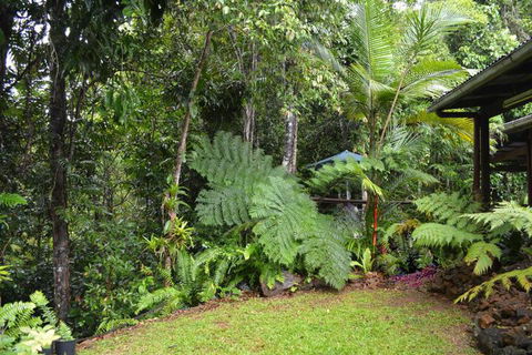 Tropical Bliss Bed & Breakfast - Accommodation Sunshine Coast 6