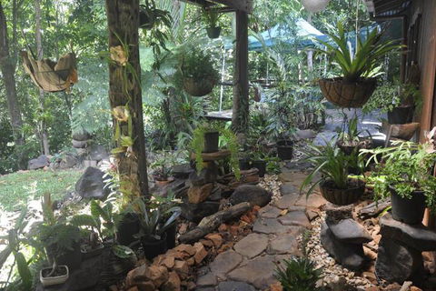 Tropical Bliss Bed & Breakfast - Accommodation Sunshine Coast 2