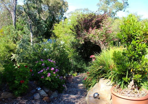 Astley Cottage - Accommodation Sunshine Coast 4