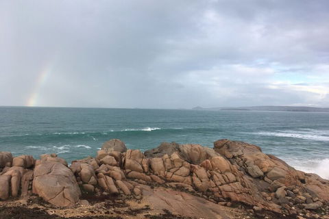Lazy Days Bed & Breakfast Cottage - Accommodation Sunshine Coast 1