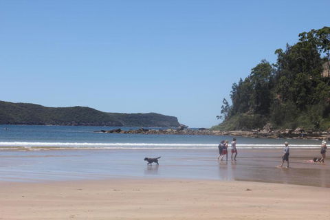 Ocean Beach Cottage - Accommodation Sunshine Coast 5