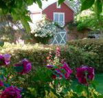 A Country Barn Retreat - Accommodation Sunshine Coast