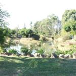 Still Waters - Accommodation Sunshine Coast 0