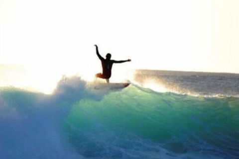 Nautilus Retreat - Accommodation Sunshine Coast 7