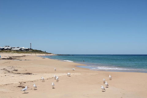 Bluebird Cottage - Accommodation Sunshine Coast 4