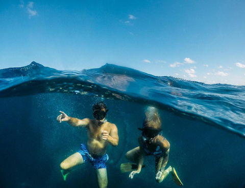 Manta Lodge YHA & Scuba Centre - Accommodation Sunshine Coast 6