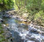 Tallaringa Views - Accommodation Sunshine Coast
