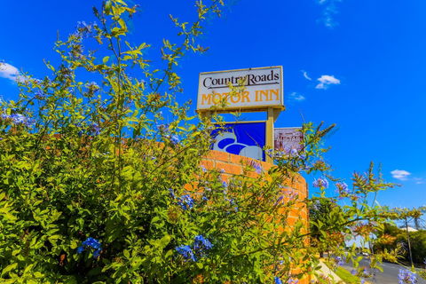 Country Roads Motor Inn Naracoorte - Accommodation Sunshine Coast 3