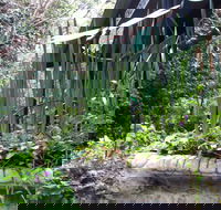 Lemonade Creek Cottages - Accommodation Sunshine Coast