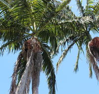 Tri Byron Bay - Accommodation Sunshine Coast