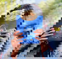 Hot Star Large Fried Chicken - Accommodation Sunshine Coast