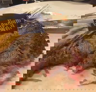 Waltzing Matilda Hotel - Accommodation Sunshine Coast