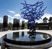 Blue Tree Grill - Accommodation Sunshine Coast