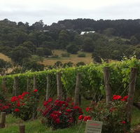 Paringa Estate - Accommodation Sunshine Coast