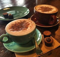 The Chocolate Labrador - Accommodation Sunshine Coast