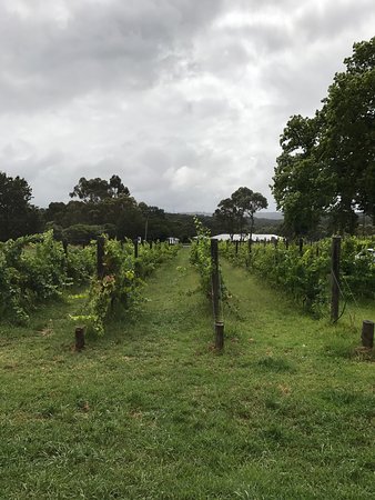Upper Beaconsfield VIC Accommodation Sunshine Coast
