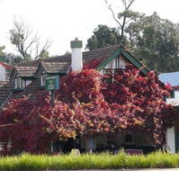Fetching Treasures - Accommodation Sunshine Coast