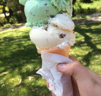 The Rainbow Ice Cream Shop - Accommodation Sunshine Coast