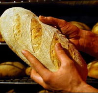 Red Beard Historic Bakery - Accommodation Sunshine Coast