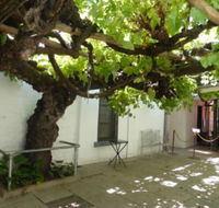 The Vine - Accommodation Sunshine Coast