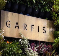Garfish - Accommodation Sunshine Coast