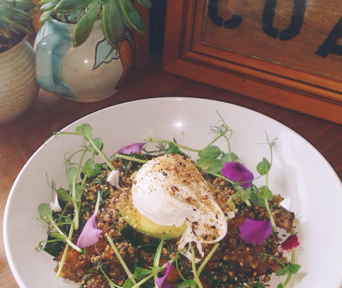The Shak Organic Cafe & Wine Bar - Accommodation Sunshine Coast 0