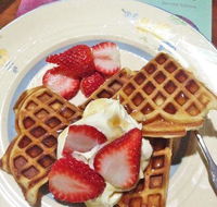 MannaFest Cafe - Accommodation Sunshine Coast