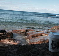 Little Paw Espresso - Accommodation Sunshine Coast