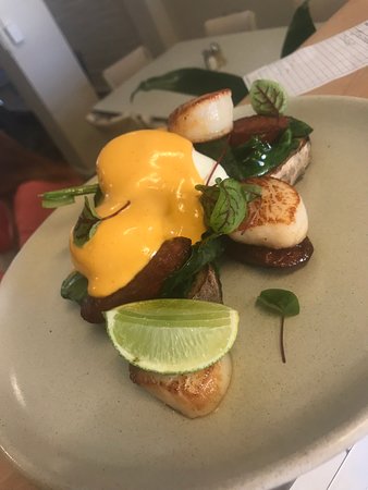Hissy Fits Cafe - Accommodation Sunshine Coast 0