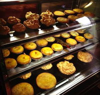 Fredo Pies - Accommodation Sunshine Coast
