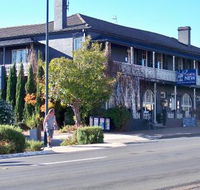 Coachwood  Cedar Motor Hotel Restaurant - Accommodation Sunshine Coast