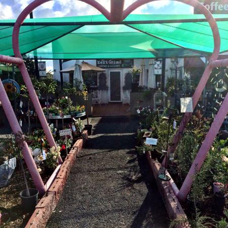 Merrigal NSW Accommodation Sunshine Coast