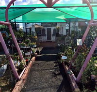 The Next Grind - Accommodation Sunshine Coast