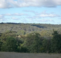 U Saucey Thing - Accommodation Sunshine Coast
