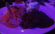 The Deck - Steakhouse At The Marina - thumb 0