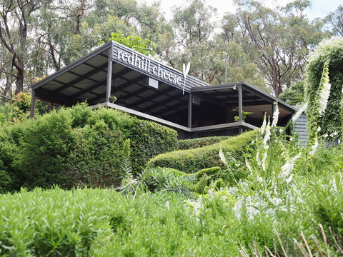 Red Hill Cheese - Accommodation Sunshine Coast 2