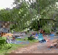 The Pop Inn by Wine Bar Co. - Accommodation Sunshine Coast