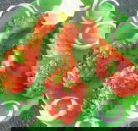 Coconut Lagoon Indian Cuisine - Accommodation Sunshine Coast