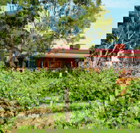 Barangaroo Boutique Wines - Accommodation Sunshine Coast