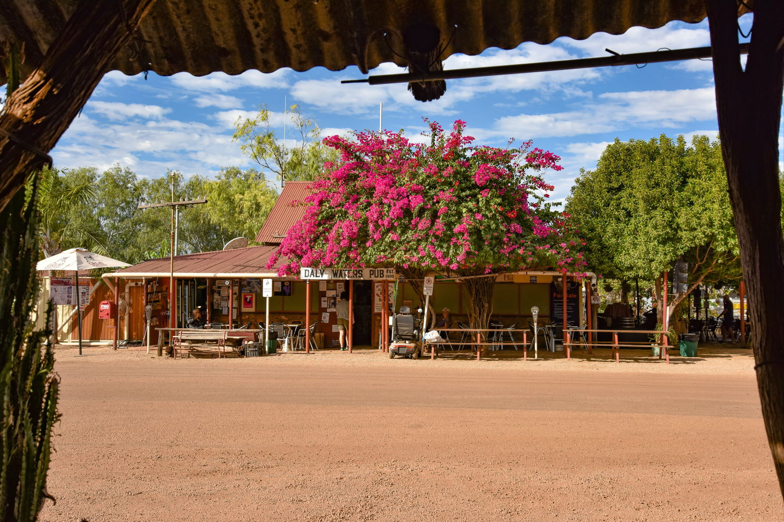 Flying Fox NT Accommodation Sunshine Coast